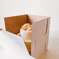 16x16 FlexBox - Adjustable Height Cake Box by Enjay 200