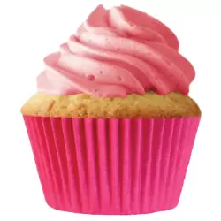 Pink Cupcake Liners - pkg of 256