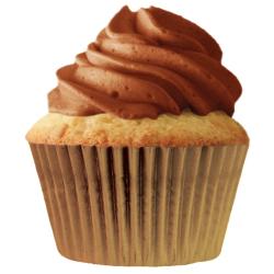 Gold Cupcake Liners - pkg of 256