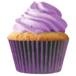 Plum/Purple Cupcake Liners - pkg of 256