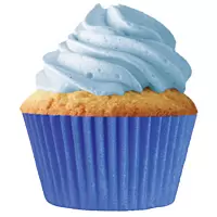 Blue Cupcake Liners - pkg of 256