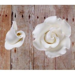 Classic English Roses Blooms & Buds - White