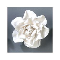 Gardenia - White