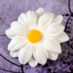 Daisy Small - White
