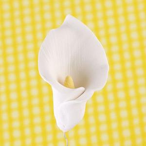 Calla Lily Small 300