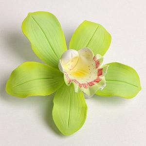 Cymbidium Orchid - Lime Green 300