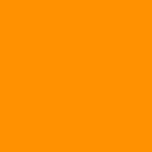 Neon Orange Fondust - 4g 300
