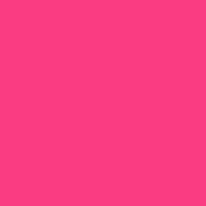 Pink Fondust - 4g 300