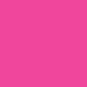 Neon Pink Fondust - 4g 300