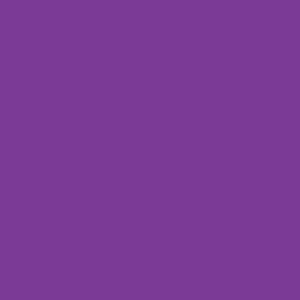 Neon Purple Fondust - 4g 300
