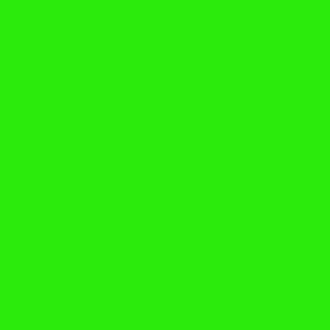 Neon Green Fondust - 4g 300