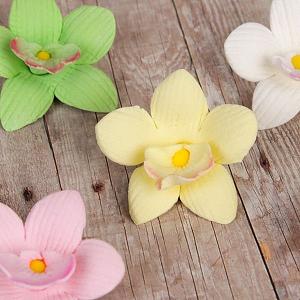 Mini Cymbidium Orchids - Mixed Colors 300