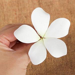 Hawaiian Plumeria White. 2 Sizes 300