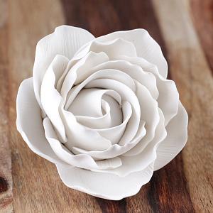 Giant Peace Rose - White 300
