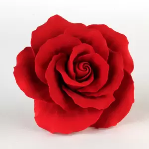 Garden Roses - Red 300