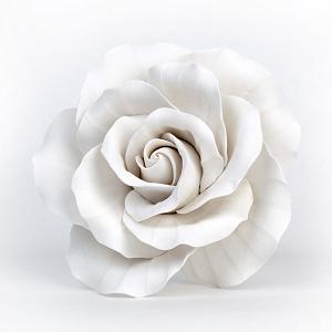 Extra Large Classic Garden Rose - White 300