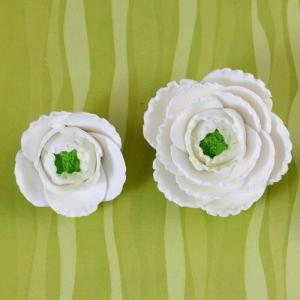 Ranunculus Flowers - White 300