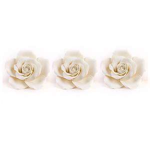 Queen Elizabeth Roses - White 300
