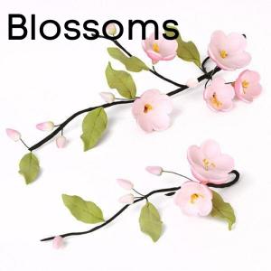 Blossoms