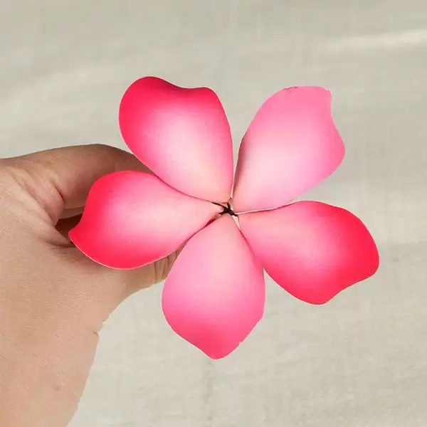 Hawaiian Plumeria Pink. 2 Sizes 600