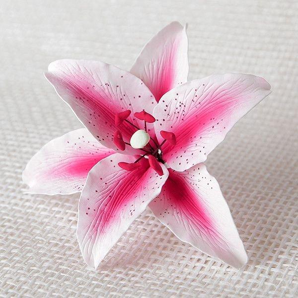 Stargazer Lily - Pink 600