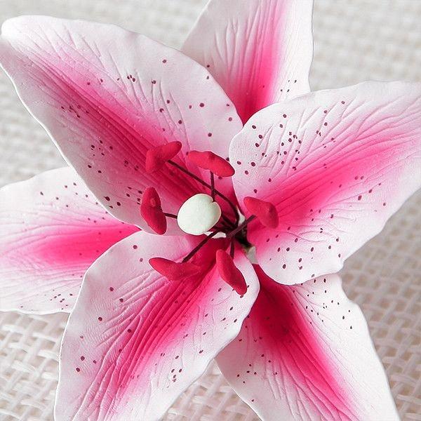 Stargazer Lily - Pink 600