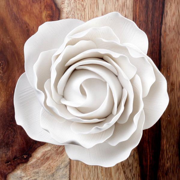 Giant Peace Rose - White 600