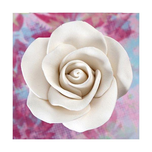 Tea Rose Medium - White 600