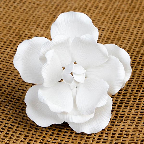 Medium Full Bloom Roses - White 600