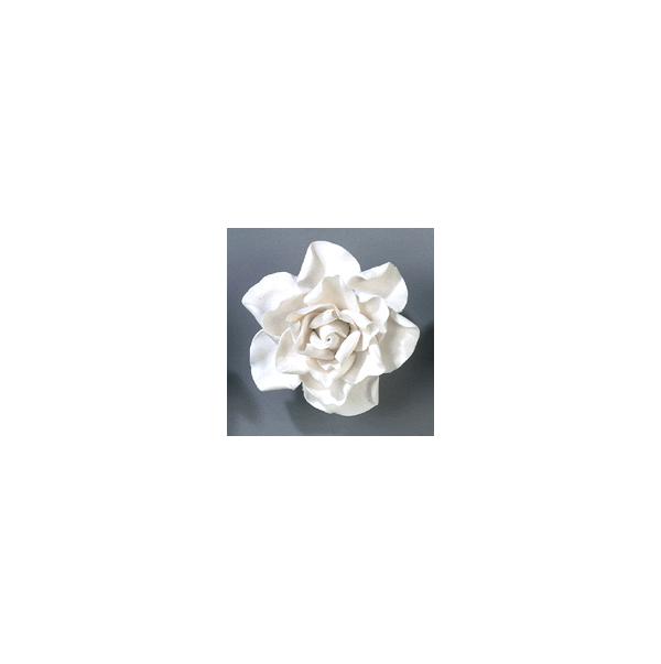 Gardenia - White 600