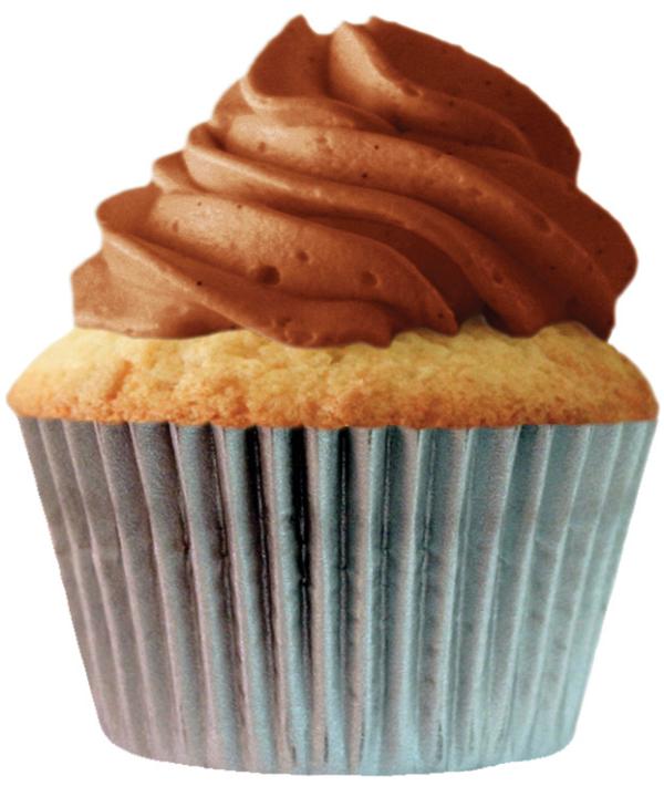 Silver Cupcake Liners - pkg of 256 600
